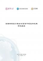   清华大学：金融科技在小微企业信贷中的应用发展研究报告