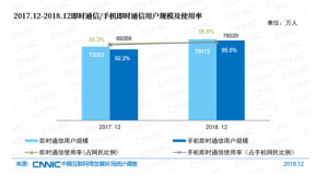 CNNIC：2019年第43次中国互联网络发展状况统计报告-即时通信